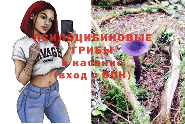 таблы Михайловск